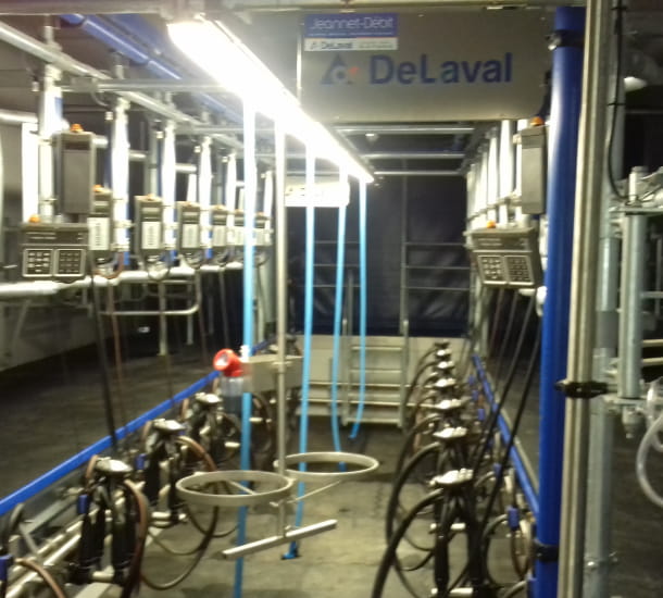 Stabulation du Lycée agricole de Ressins (42)