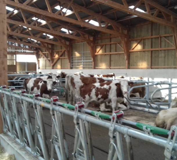 Stabulation du Lycée agricole de Ressins (42)