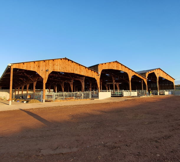 Stabulation du Lycée agricole de Ressins (42)