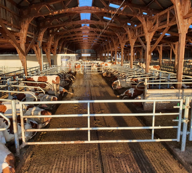 Stabulation du Lycée agricole de Ressins (42)