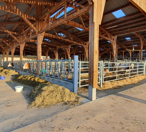 Stabulation du Lycée agricole de Ressins (42)